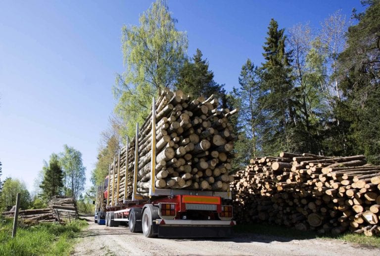Timmertransport