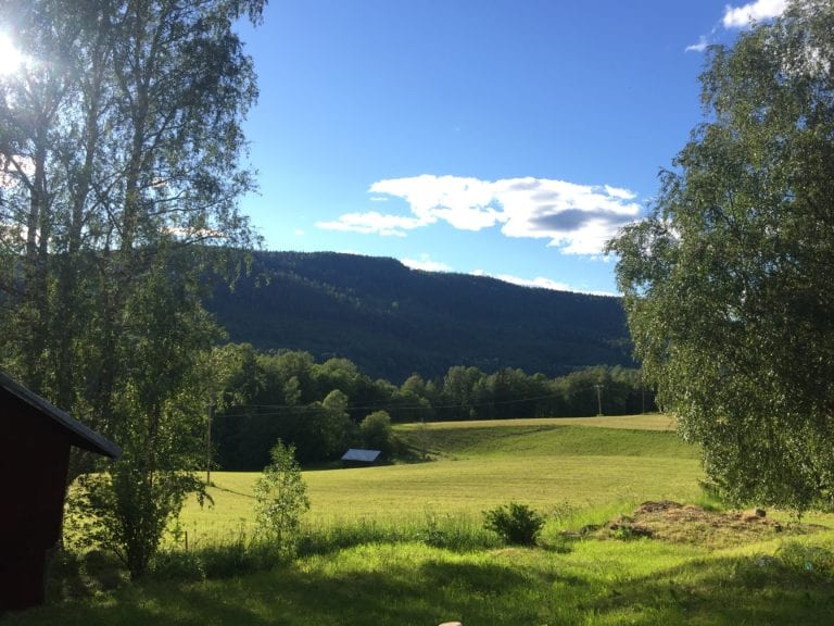 Miljöbild natur