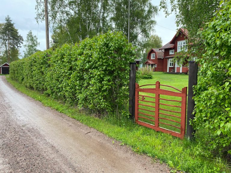 sommarsaltning