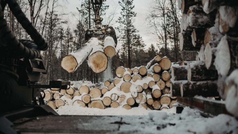 timmer-som-lastas